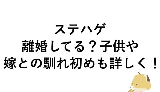 ステハゲは離婚してる？子供や嫁との馴れ初めも詳しく！