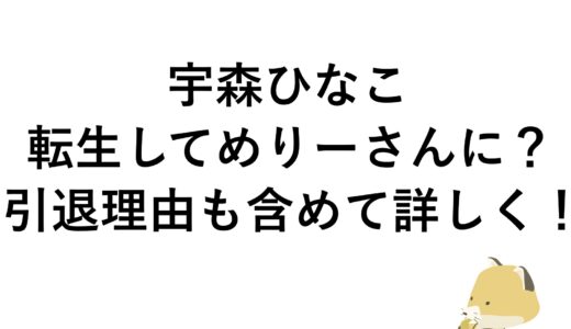 宇森ひなこは転生してめりーさんに？引退理由も含めて詳しく！