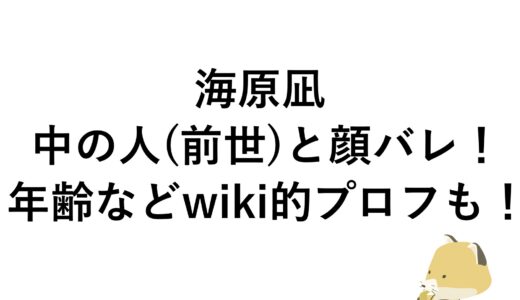 海原凪の中の人(前世)と顔バレ！年齢などwiki的プロフも！