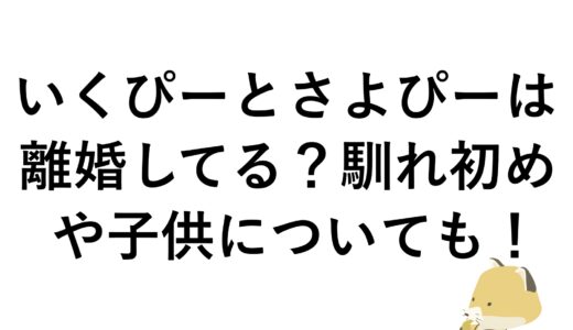 いくぴーとさよぴーは離婚してる？馴れ初めや子供についても！