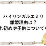 バイリンガルエミリの離婚理由は？馴れ初めや子供についても！