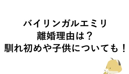 バイリンガルエミリの離婚理由は？馴れ初めや子供についても！