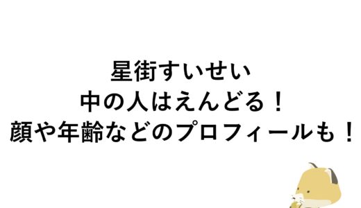 星街すいせいの中の人はえんどる！顔や年齢などのプロフィールも！