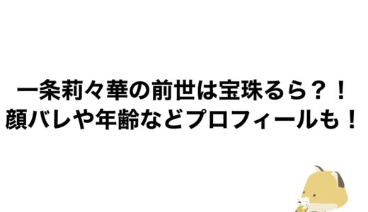 一条莉々華の前世は宝珠るら？！顔バレや年齢などプロフィールも！