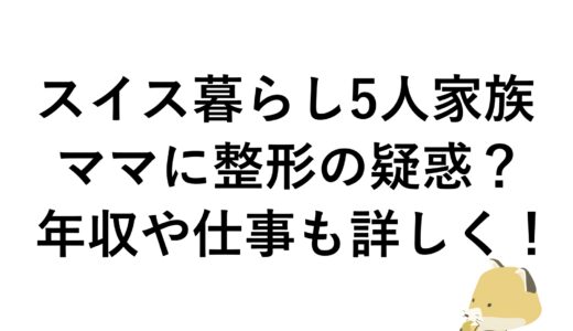 スイス暮らし5人家族のママに整形の疑惑？年収や仕事も詳しく！