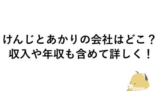 けんじとあかりの会社はどこ？収入や年収も含めて詳しく！