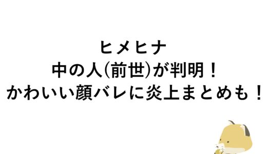 ヒメヒナの中の人(前世)が判明！かわいい顔バレに炎上まとめも！