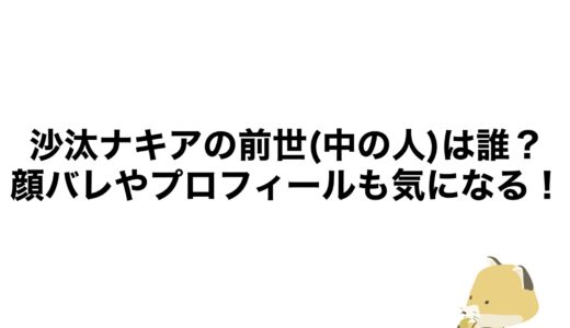 沙汰ナキアの前世(中の人)は誰？顔バレやプロフィールも気になる！