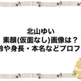 北山ゆいの素顔(仮面なし)画像は？年齢や身長・本名などプロフも！