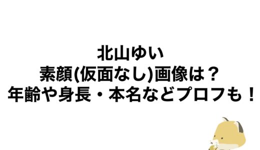 北山ゆいの素顔(仮面なし)画像は？年齢や身長・本名などプロフも！