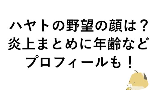 ハヤトの野望の顔は？炎上まとめに年齢などプロフィールも！